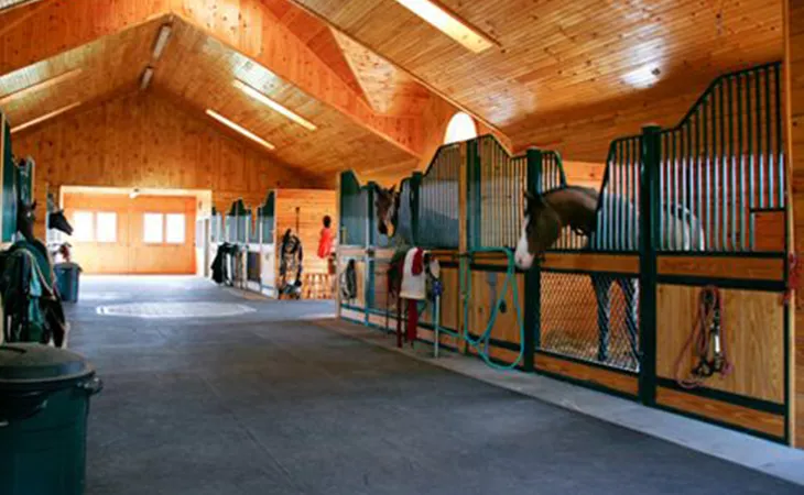  Horse Flooring Systems
                                    