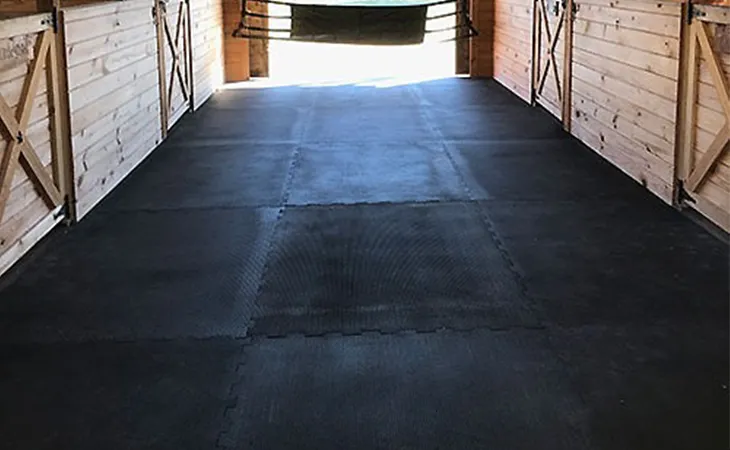  Horse Flooring Systems
                                    