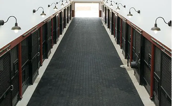  Horse Flooring Systems
                                    